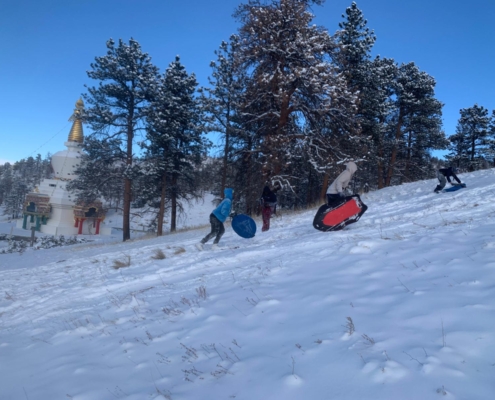 A photo of three teens and pre-teens running up a snow-covered hillside with sleds. There is a stand of ponderosa pine trees, the Great Stupa of Dharmakaya, and clear blue skies in the background.